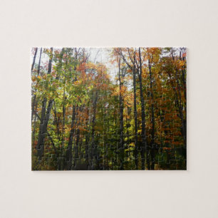 Sonniger Herbstwald - Herbstlandschaft Puzzle