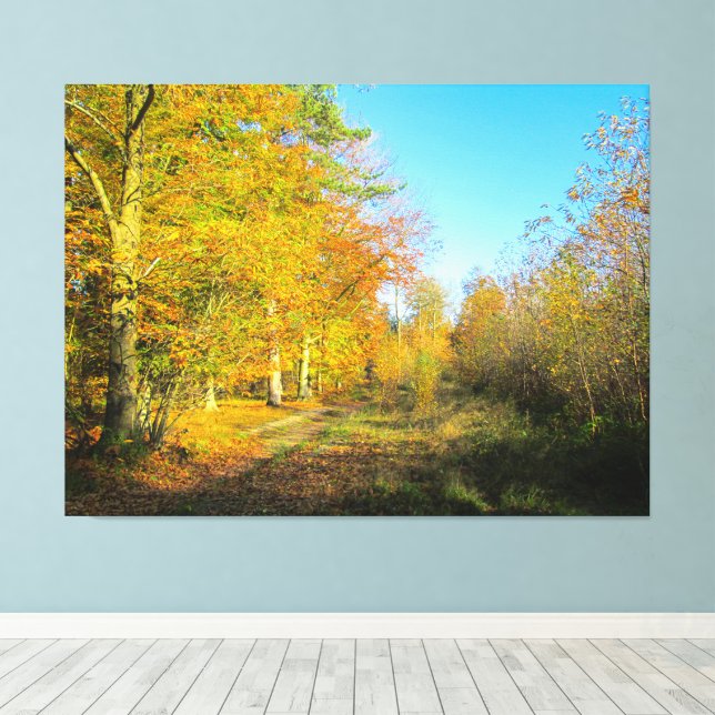 Sonniger Herbstwald - Leinwanddruck (Insitu (Holzboden))