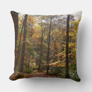 Sonniger Herbstweg im Laurel Hill State Park Kissen
