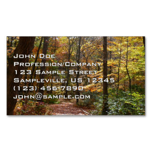 Sonniger Herbstweg im Laurel Hill State Park Magnetische Visitenkarte