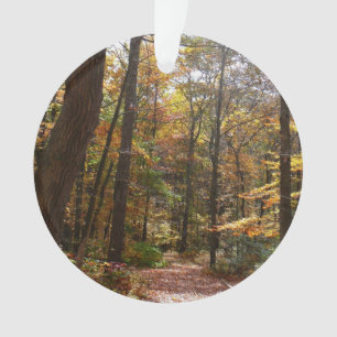 Sonniger Herbstweg im Laurel Hill State Park Ornament