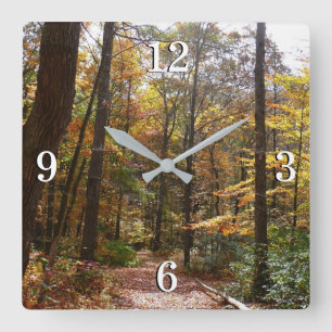 Sonniger Herbstweg im Laurel Hill State Park Quadratische Wanduhr