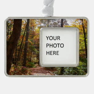 Sonniger Herbstweg im Laurel Hill State Park Rahmen-Ornament Silber
