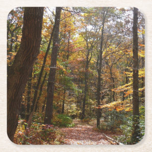 Sonniger Herbstweg im Laurel Hill State Park Rechteckiger Pappuntersetzer