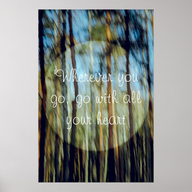 Sonniger Kiefernwald Poster (Vorne)