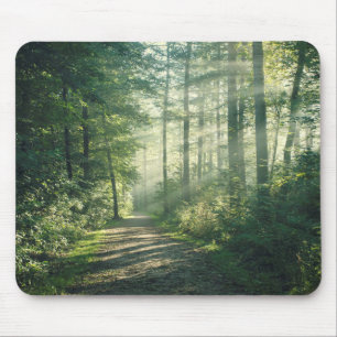 Sonniger Oktober-Morgen in Hamburg Mousepad