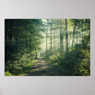 Sonniger Oktober Morgen in Hamburg Poster