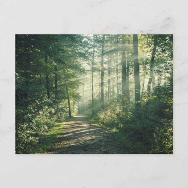 Sonniger Oktober Morgen in Hamburg Postkarte (Vorderseite)