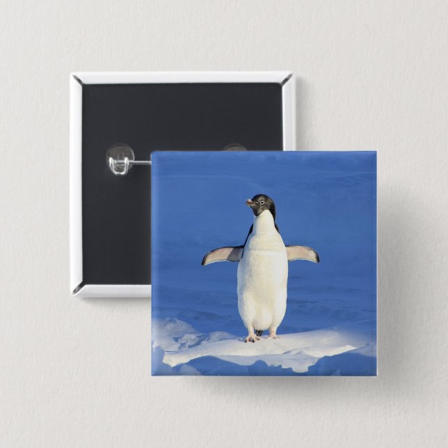 Sonniger Pinguin auf Eis-Foto Button (Vorne & Hinten)