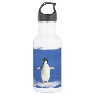 Sonniger Pinguin auf Eis-Foto Edelstahlflasche