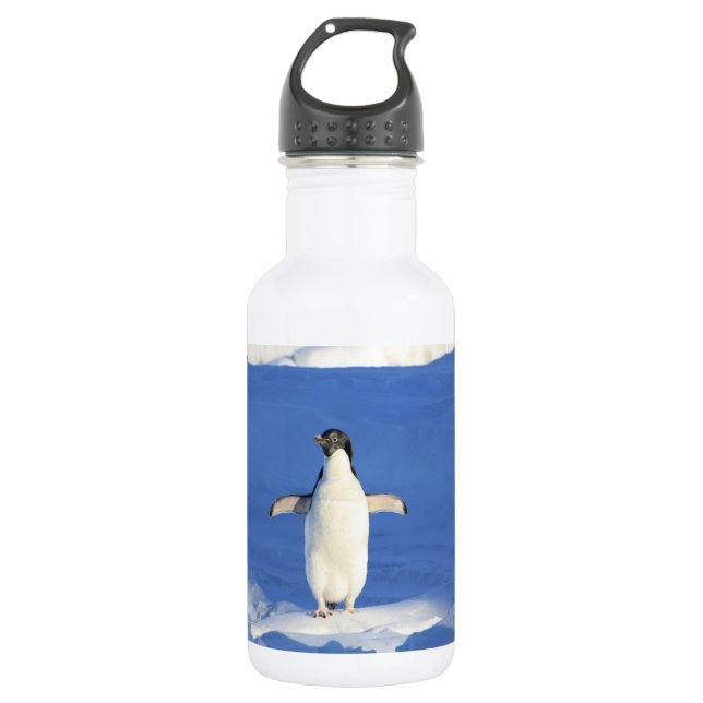 Sonniger Pinguin auf Eis-Foto Edelstahlflasche (Vorderseite)