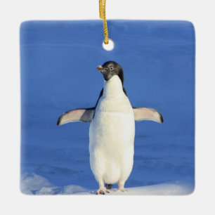 Sonniger Pinguin auf Eis-Foto Keramikornament