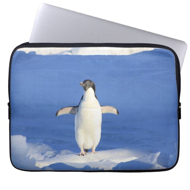 Sonniger Pinguin auf Eis-Foto Laptopschutzhülle (Vorderseite)