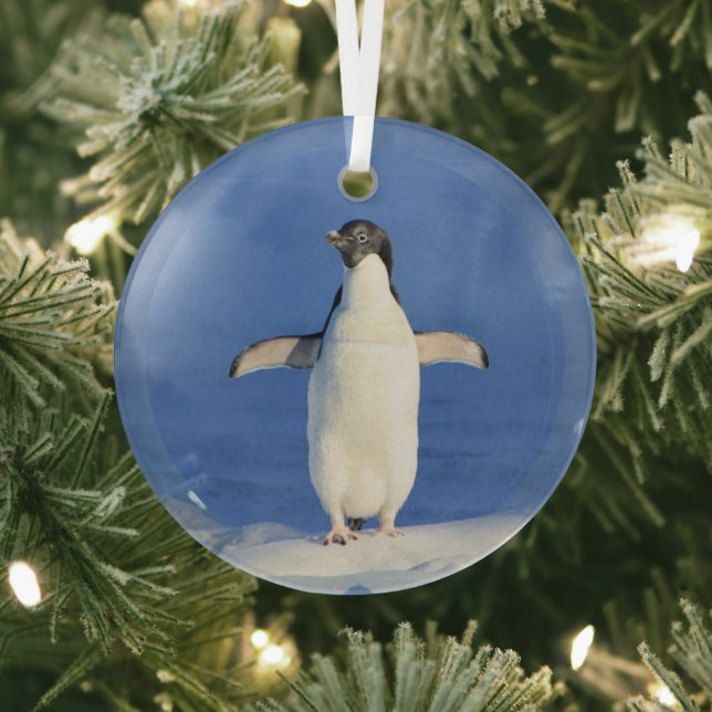 Sonniger Pinguin auf Eis-Foto Ornament Aus Glas (InSitu)