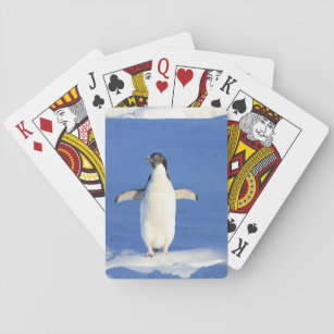 Sonniger Pinguin auf Eis-Foto Spielkarten