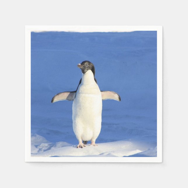 Sonniger Pinguin auf Eis Serviette (Vorderseite)