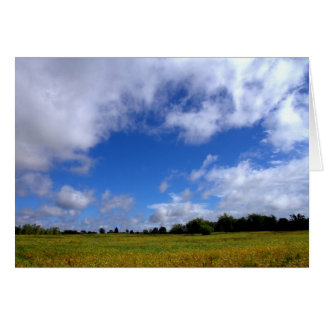 Sonniger Samstag auf dem Land #1