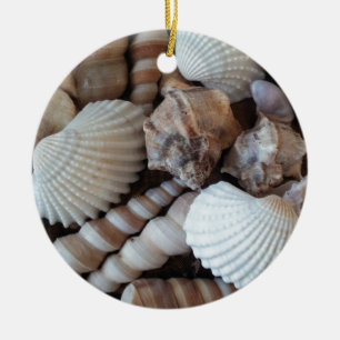 Sonniger Seashells-Sammlungs-Natur-Sommer Keramikornament