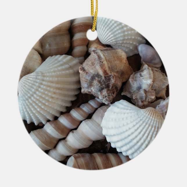 Sonniger Seashells-Sammlungs-Natur-Sommer Keramikornament (Vorne)