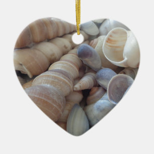 Sonniger Sommer Muscheln. Romantisch, exotisch tro Keramik Ornament