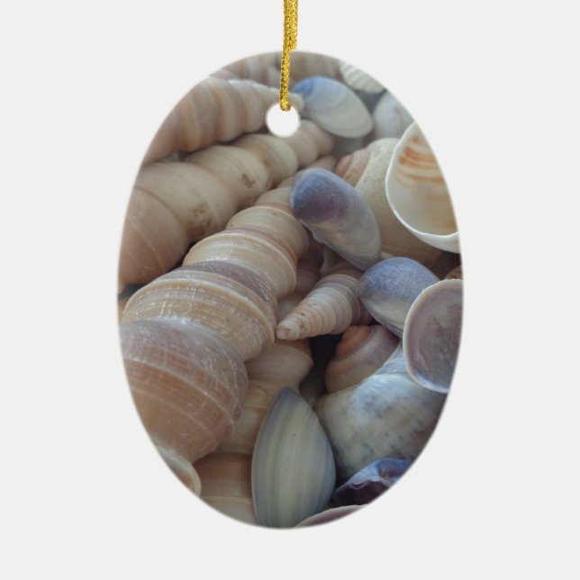 Sonniger Sommer Muscheln. Romantisch, exotisch tro Keramik Ornament (Vorne)