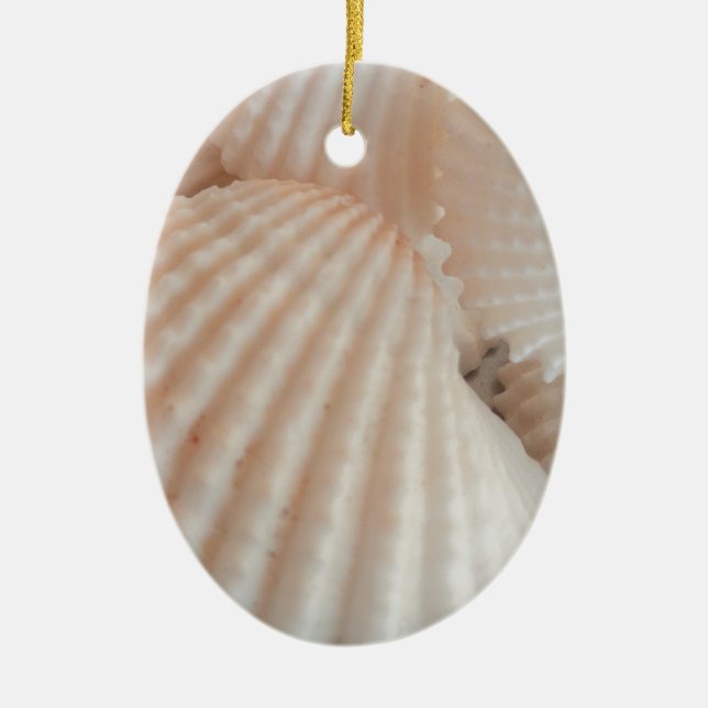 Sonniger Sommer Muscheln. Romantisch, exotisch tro Keramikornament (Vorne)