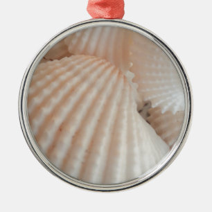 Sonniger Sommer Muscheln. Romantisch, exotisch tro Silbernes Ornament