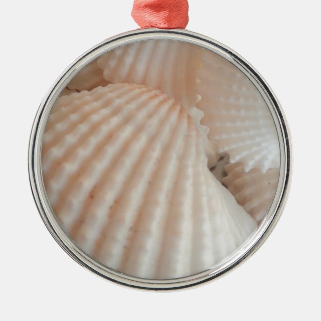 Sonniger Sommer Muscheln. Romantisch, exotisch tro Silbernes Ornament (Vorne)