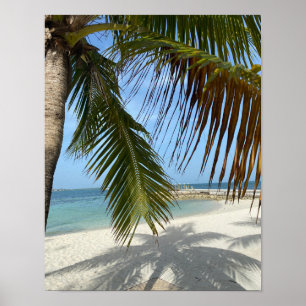 Sonniger Strand auf den Bahamas Poster