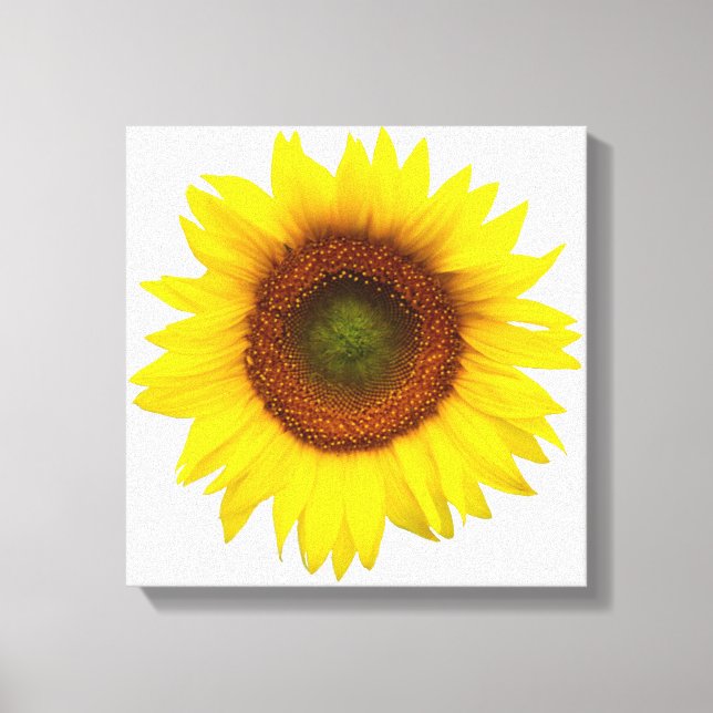 Sonniger Tagessonnenblume eingewickelter Leinwanddruck (Vorderseite)