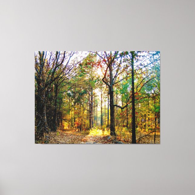 Sonniger Waldweg im Herbst Leinwanddruck (Vorderseite)