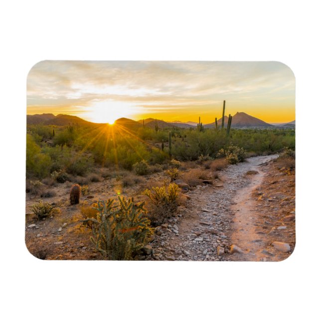 Sonniges Wetter über Arizona Magnet (Horizontal)