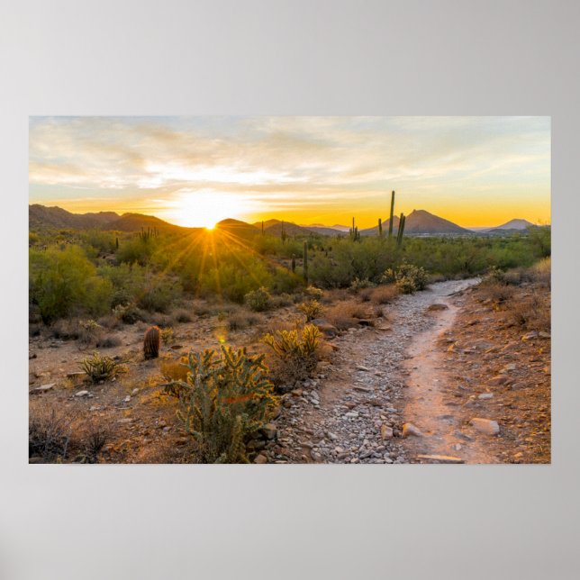 Sonniges Wetter über Arizona Poster (Vorne)
