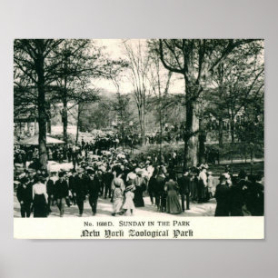 Sonntag am Bronx-Zoo Vintag Poster