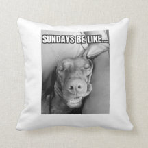 Sonntags wie Vizsla Pillow