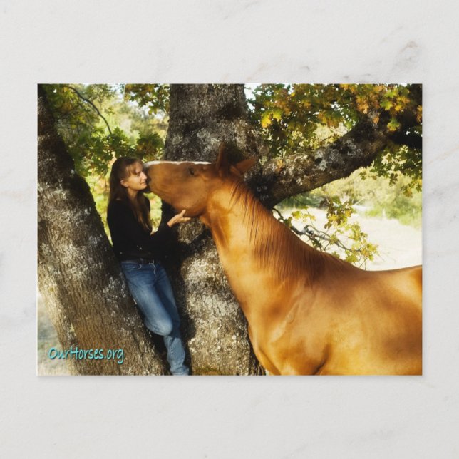 Sonntagsflüstern auf Postkarte (Vorderseite)