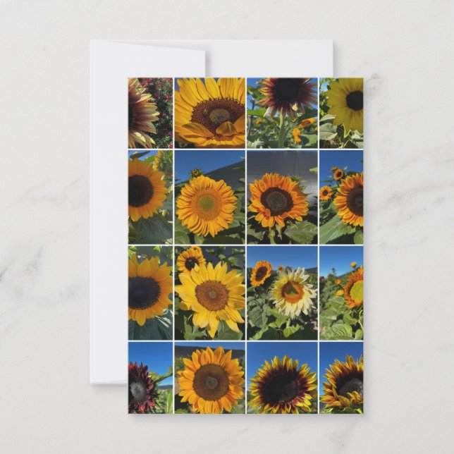 Sonntagssonnenblumen-Collage  Mitteilungskarte (Vorderseite)