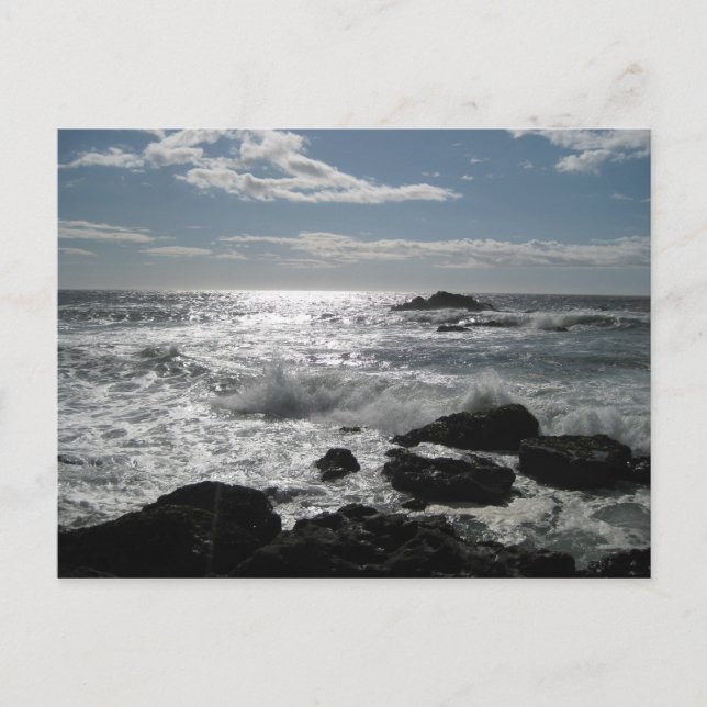 Sonoma Coast, Bodega, Ca Blank Postkarte (Vorderseite)