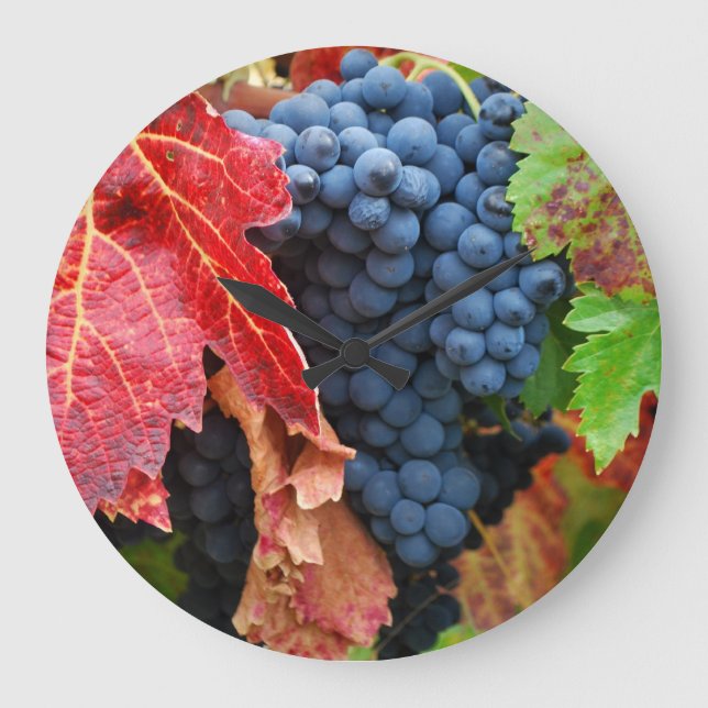 Sonoma im Fall Große Wanduhr (Vorderseite)