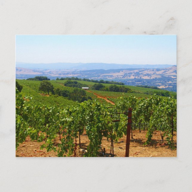 Sonoma Postkarte (Vorderseite)