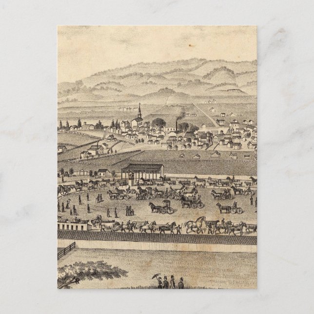 Sonoma und Marin District Agricultural Society Postkarte (Vorderseite)