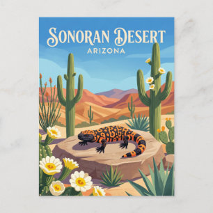 Sonora-Wüste USA Postkarte
