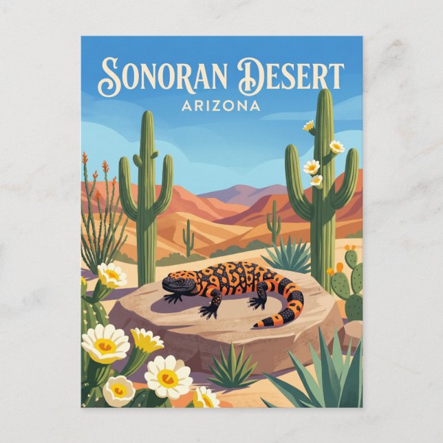 Sonora-Wüste USA Postkarte (Vorderseite)