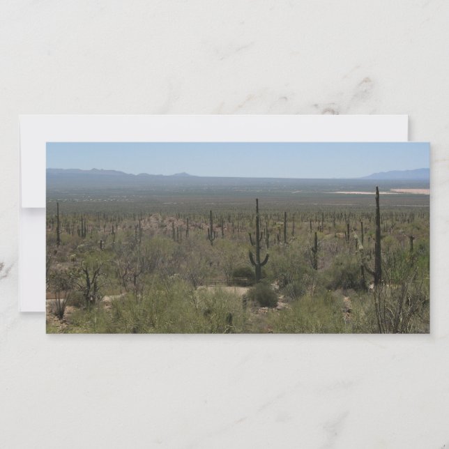 Sonora-Wüstenmuseum (Vorderseite)