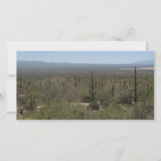 Sonora-Wüstenmuseum