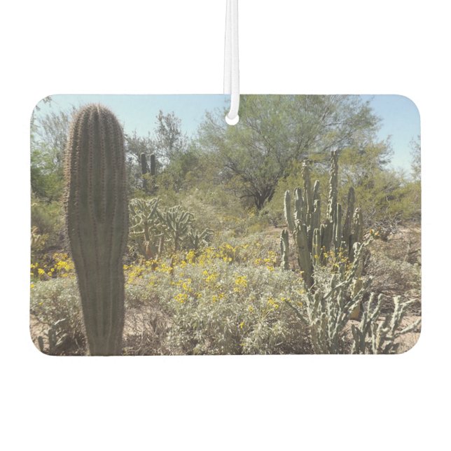Sonoran Desert Air Freshener Autolufterfrischer (Vorderseite)