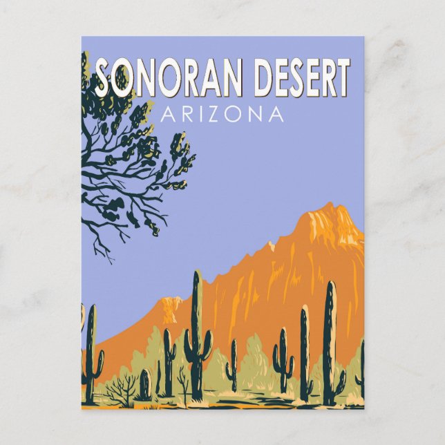 Sonoran Desert Arizona Vintage Kunst Postkarte (Vorderseite)