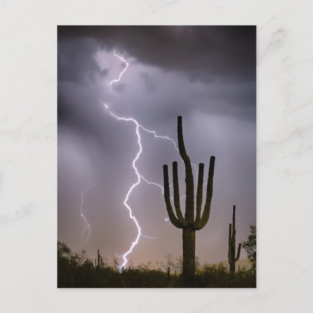 Sonoran Desert Monsoon Storming Postkarte (Vorderseite)