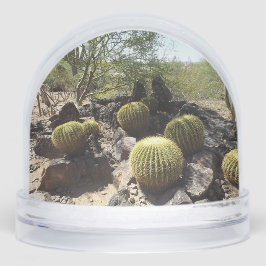 Sonoran Desert Snow Globe Schneekugeln