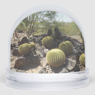 Sonoran Desert Snow Globe Schneekugeln